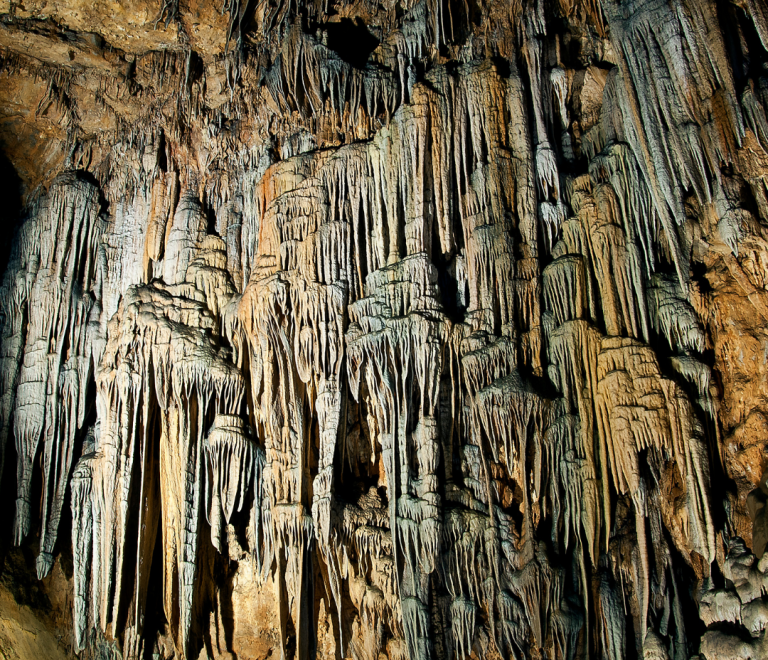 Discover Dim Çayı: A Natural Paradise