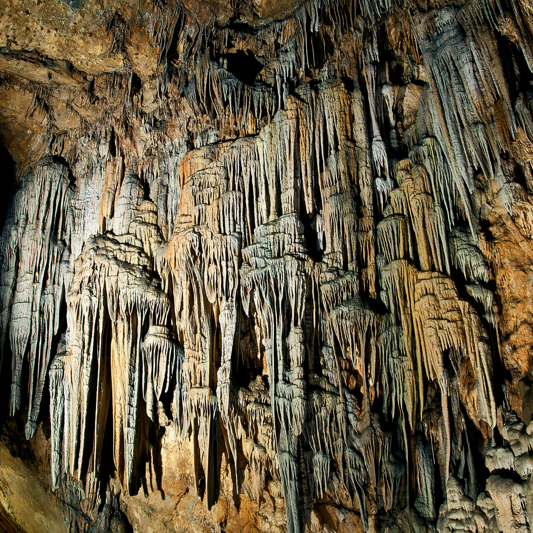 Discover Dim Çayı: A Natural Paradise