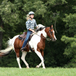 Discover Horseback Riding Adventures with Alanya ICA Tour