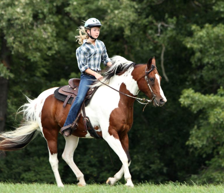 Discover Horseback Riding Adventures with Alanya ICA Tour